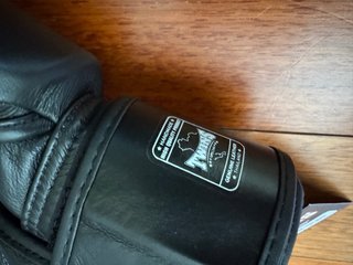 Guantes Muay Thai Twins 14 oz