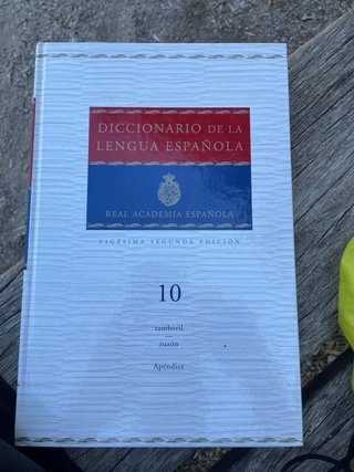 Diccionario de la lengua espanola 10 libros