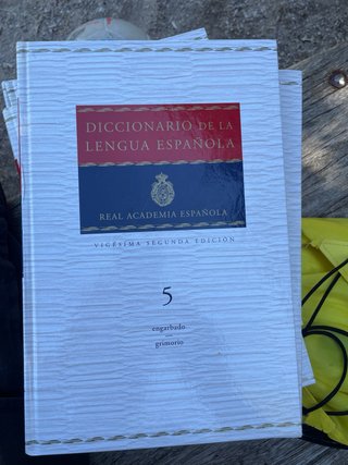 Diccionario de la lengua espanola 10 libros