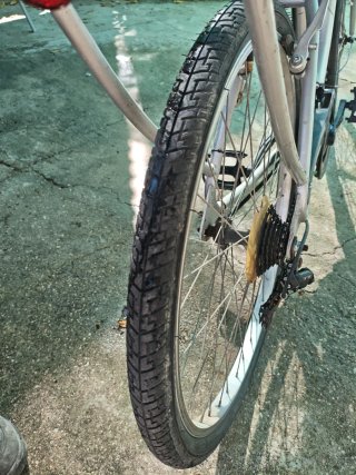 Bici Paseo City 300