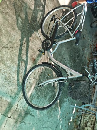 Bici Paseo City 300