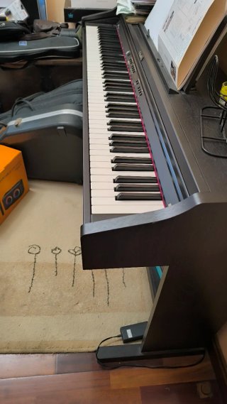 Piano eléctrico Roland RP-201