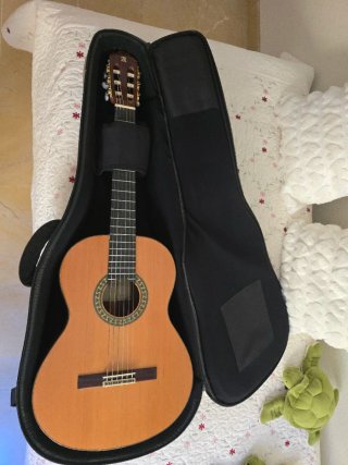 Guitarra Clásica Alhambra 5P + Funda original