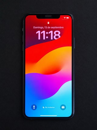 iPhone 11 Pro Max 256GB - Gris Espacial