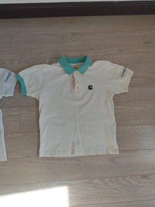 Polo Colegio Artica