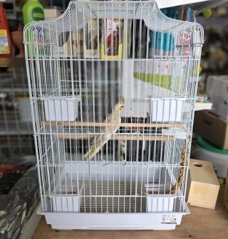 Jaula grande para pájaros