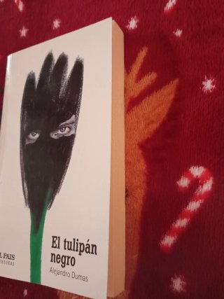 El tulipan negro