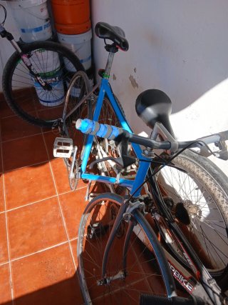 Bicicleta Azul