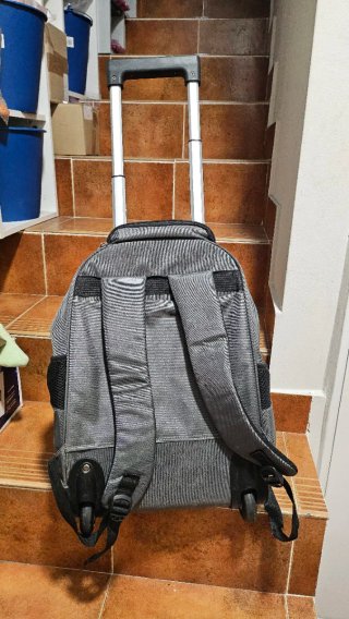 Mochila con ruedas y asa extensible