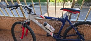 Bicicleta Boomerang Ultimate