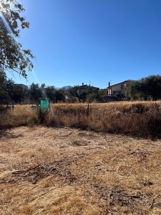 Se vende terreno rústico en La Zubia
