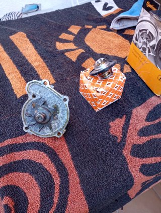 Bomba de agua Nissan Micra MK1