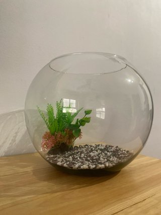 Pecera redonda con plantas y grava