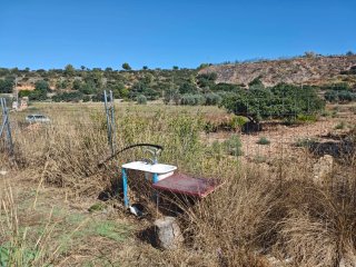 Terreno con caseta