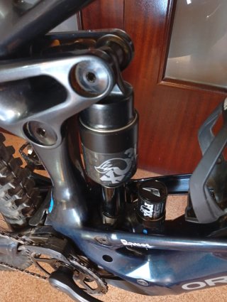 Orbea Wild H10