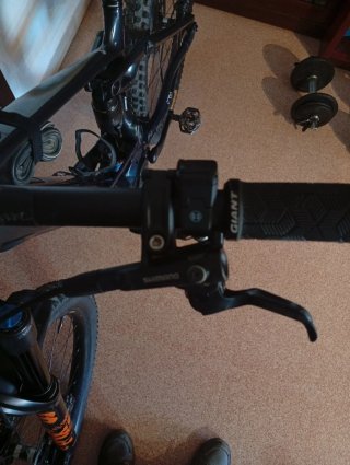 Orbea Wild H10