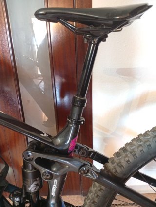 Orbea Wild H10