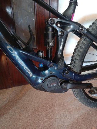 Orbea Wild H10