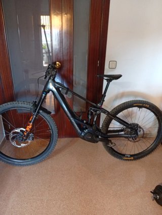 Orbea Wild H10