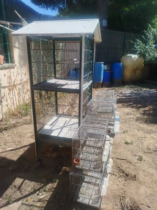 Jaulas para pájaros