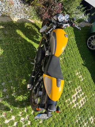 Triumph Street Cup Plata y Amarillo