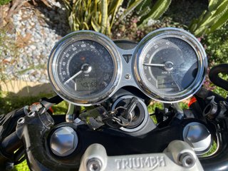 Triumph Street Cup Plata y Amarillo