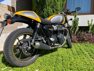 Triumph Street Cup Plata y Amarillo