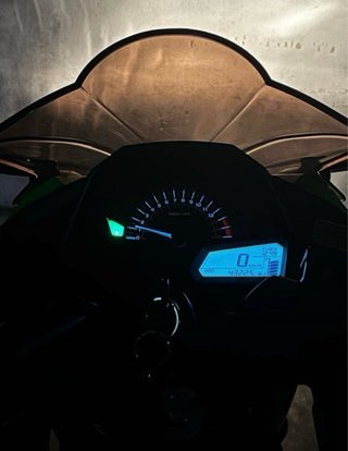 Kawasaki Ninja 300