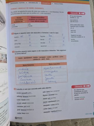Som-hi català per a adults. Bàsic 1
