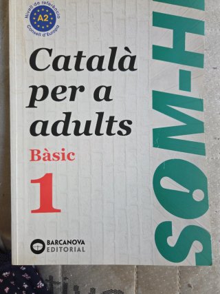 Som-hi català per a adults. Bàsic 1