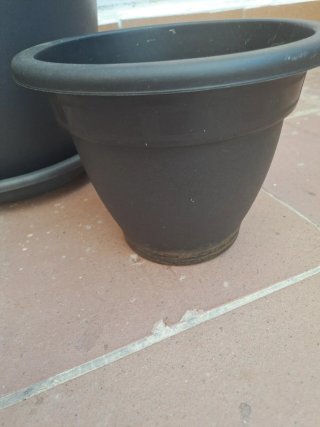 Lote de 6 macetas
