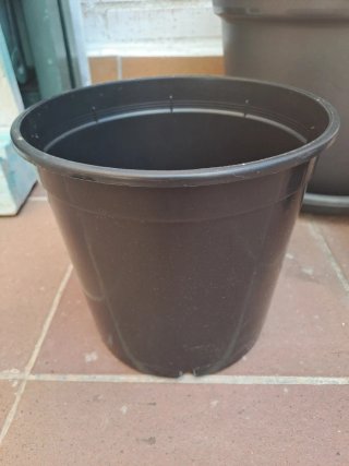 Lote de 6 macetas