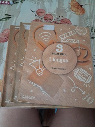 Llengua, 3 Primària, Operació mon