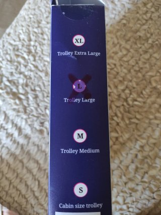 Copertura trolley Bric's trasparente