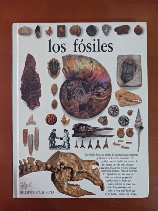 I fossili