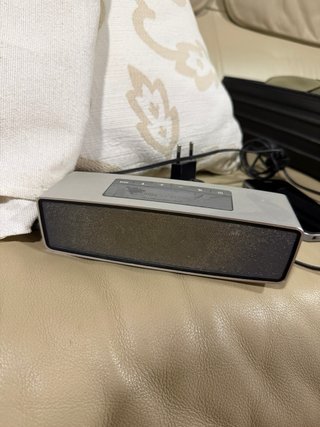 Altavoz Bose Portátil Gris