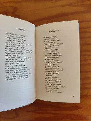 De l'amor i altres desficis adolescents