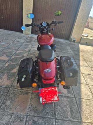Harley Davidson Street 750 Roja