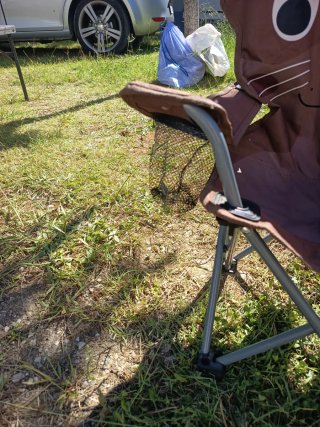Silla infantil camping diseño nutria