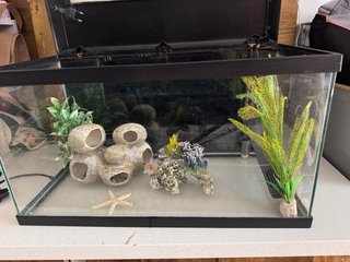 Kit Acuario 60L Accesorios