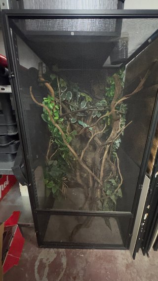 Terrario Malla Camaleón Negro/Verde