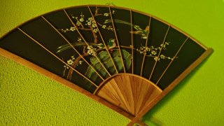 Abanico decorativo con pájaros y flores