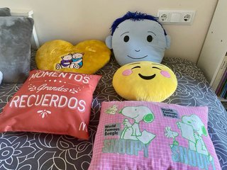 Lote 5 Almohadones Decorativos