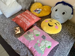 Lote 5 Almohadones Decorativos