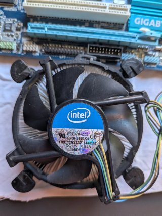 Placa Base Gigabyte + procesador Intel