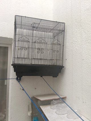 Jaula para canarios o aves