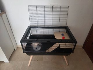 Jaula para Hámster con Accesorios