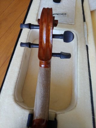 Violín Jago con funda y arco