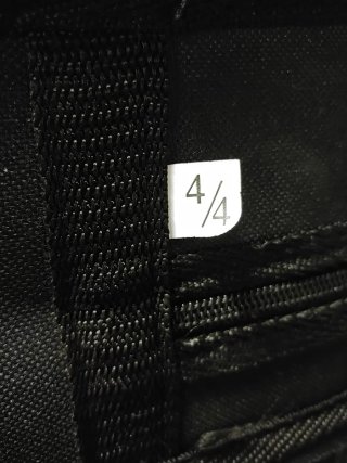 Violín Jago con funda y arco