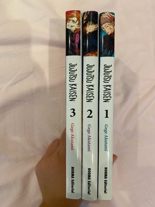 Jujutsu Kaisen 1